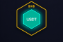 چرا تتر (USDT) روی شبکه BSC در لجر زیر حساب BNB نمایش داده میشود؟